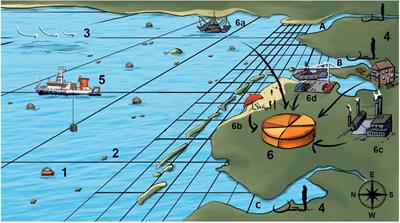 Sources, pathways, and abatement strategies of macroplastic pollution: an interdisciplinary approach for the southern North Sea